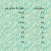 کفش اداری طبی زنانه مدل ارکید بزرگ پا چسبی سایز 40 تا 42